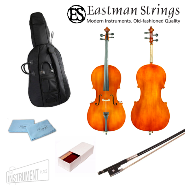 The string bass instrument - Visit WordPress