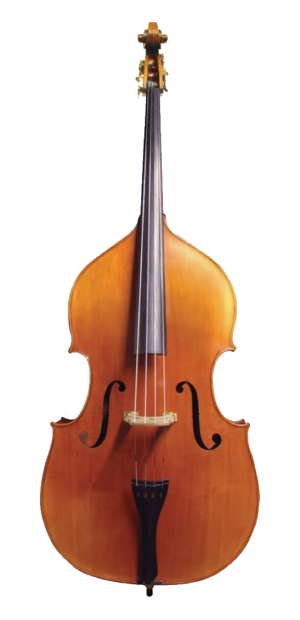 Instruments of the Orchestra THE ORCHESTRA PLACE