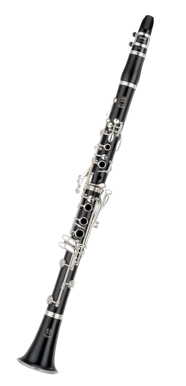 Instruments of the Orchestra THE ORCHESTRA PLACE